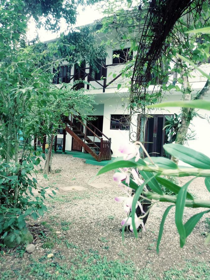 Lindas Suites A Uma Quadra Da Praia E Centro Ubatuba Eksteriør billede